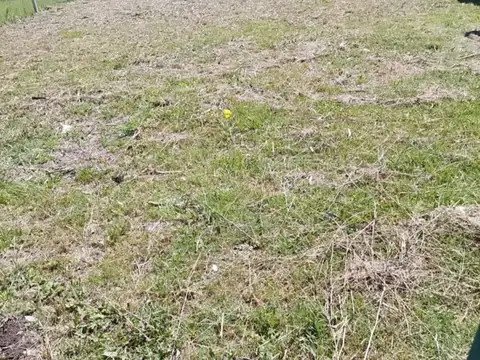 Angen  Ruben Portillo 100