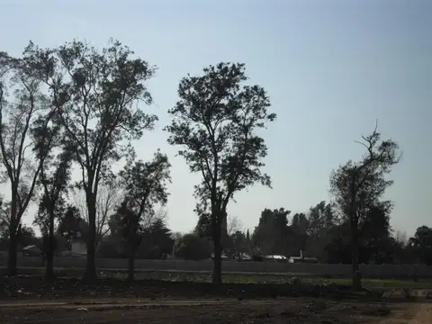 Terreno en Venta en Pilar, $ 45.000.000