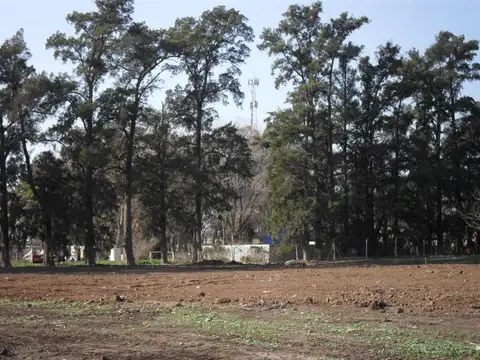 Terreno en Venta de 320,0 m2