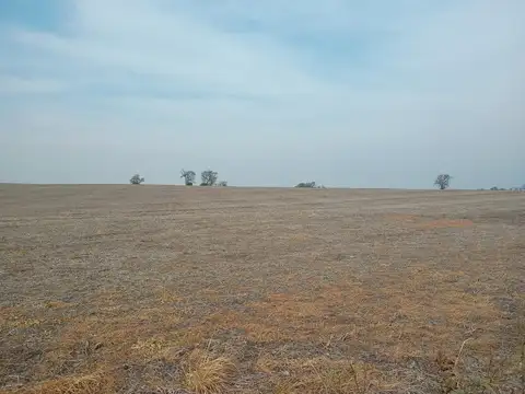 VENDO 40 HECTAREAS 100% AGRICOLAS EN COSTA GRANDE