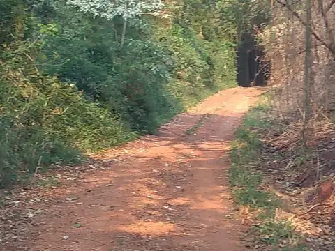 Terreno en Venta 2.500  mts Frente