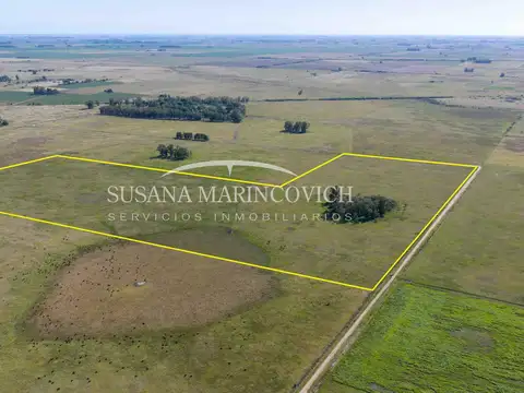 Campo de 40 hectareas en venta en Tuyuti