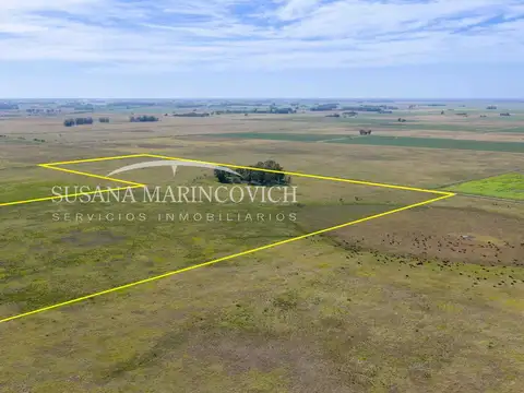 Campo en Tuyuti