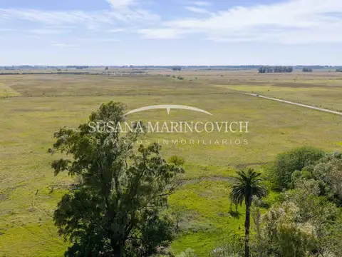 Campo en Tuyuti