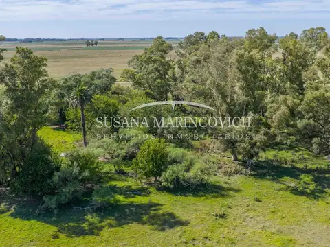 Campo de 40 hectareas en venta en Tuyuti