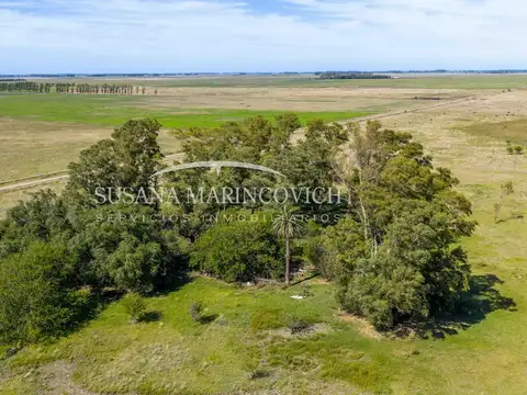 Campo de 40 hectareas en venta en Tuyuti