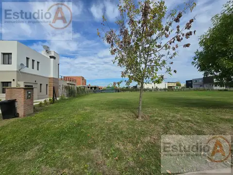 Terreno en Venta 20  mts Fondo