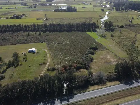 Venta de campo 3 Ha. sobre Ruta 8 Km. 45