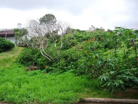 Bigua