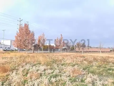 Terreno en Venta 70  mts Frente