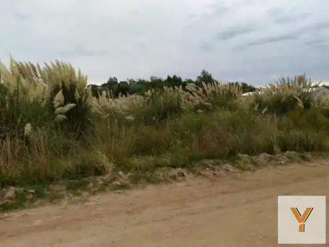 Terreno en venta - 1.125mts2 - Balneario Marisol, Coronel Dorrego