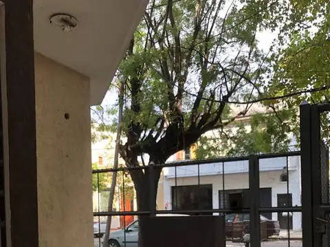 mitre 100, Piso pb