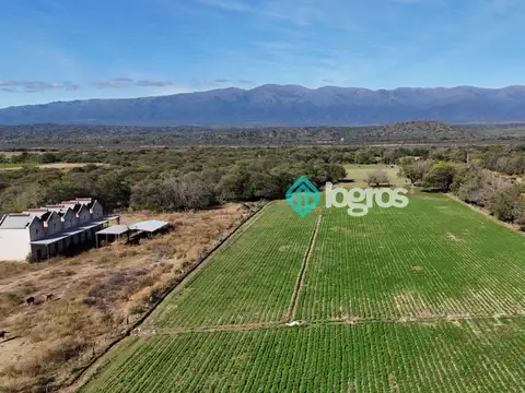 Finca en Venta en Talapampa, Salta