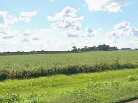 Venta valor por hectárea 60000 campo 30ha – 600 m de frente sobre A012 Roldan