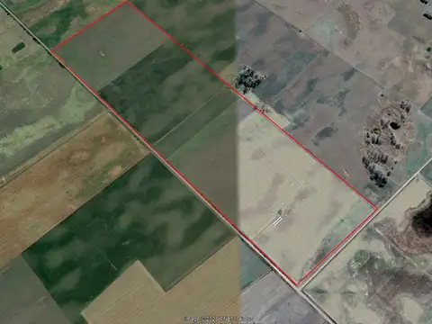 Campo en Venta en Trenque Lauquen, Partido de Trenque Lauquen