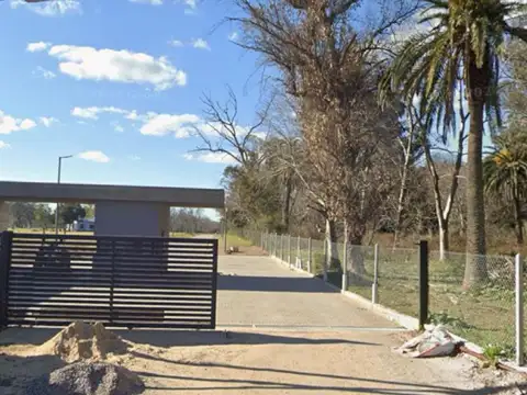 Las Moras De Hudson 100