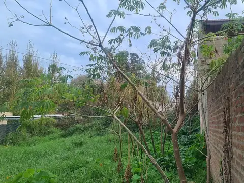 Williams Morris al 3100