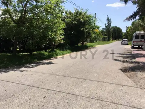 8 entre 472 y 474. Lote de 1154m2. Venta, City Bell.