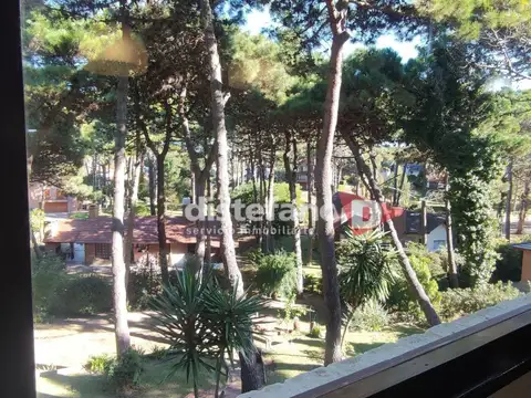 ODISEO 1000