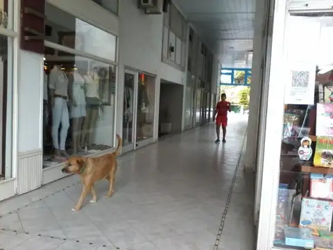 AVENIDA LIBERTADOR Y DE LAS ARTES 9900