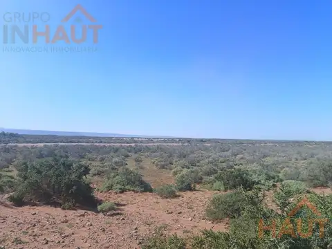 Añelo Venta de 366HA