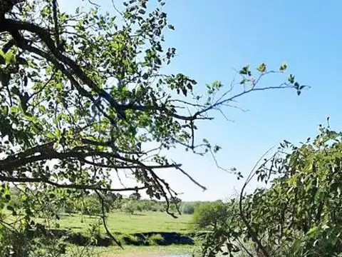 CAMPO 13 HECTAREAS CON VISTA AL RIO PARANA - VUELTA DE OBLIGADO