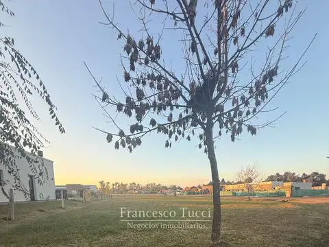 Terreno en venta Los Juncos