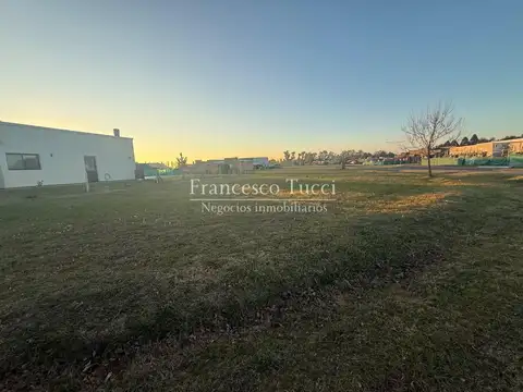 Terreno en venta Los Juncos