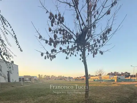 Terreno en Alquiler de 913,0 m2