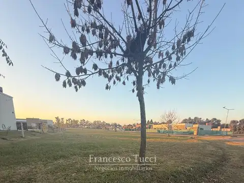 Terreno en Alquiler en Los Juncos, USD 26.000