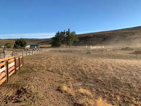 Campo de 2500 has en Aldea Apeleg