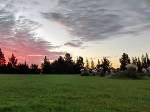 Aristóbulo Del Valle Y La Victoria 1350