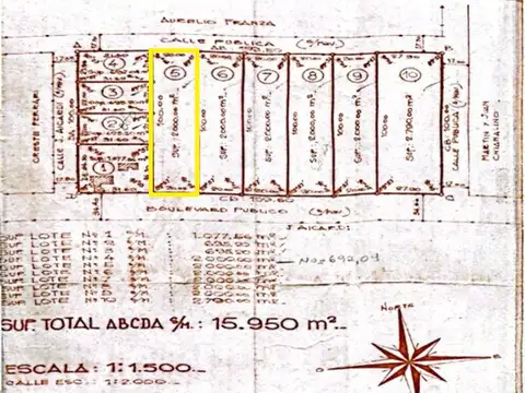 VENTA AMPLIO TERRENO COLONIA CASTELLANOS
