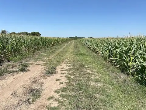 Campo de 2 hectareas, altura general lagos.