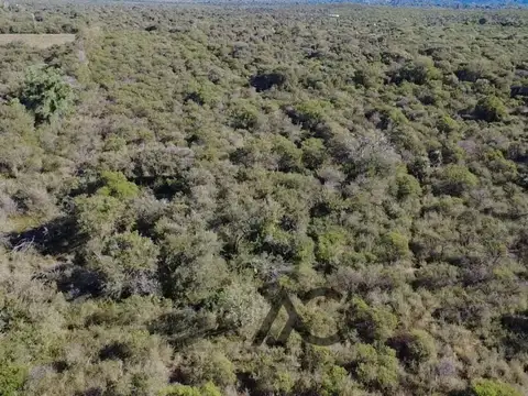 Terreno en Venta de 88811,0 m2