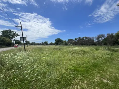 Ciudadela y Calle 1329