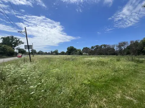 Ciudadela y Calle 1329