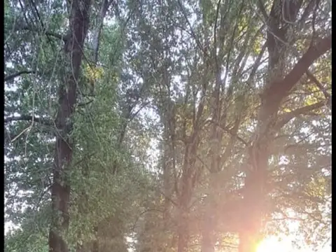 CHACRA VENTA EN PILAR, 4 HECTAREAS CON MEJORAS.