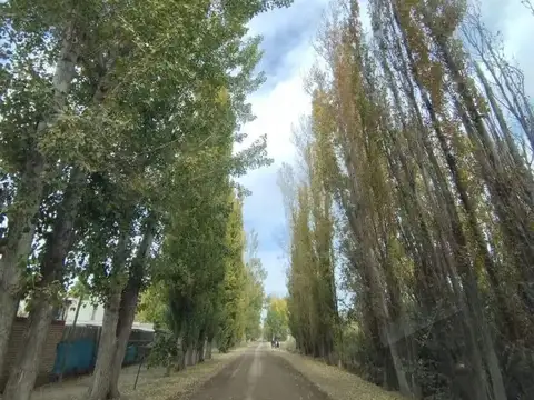 Calle Aristoteles 5800