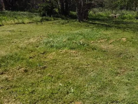 Terreno en venta - 231Mts2 - San Vicente