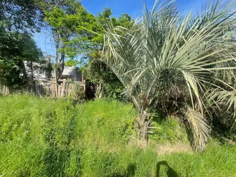 Terreno en alquiler de 1808m2 ubicado en Rocha
