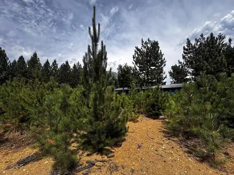 Terreno en Venta de 1236,0 m2