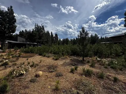 Terreno en Venta de 1236,0 m2