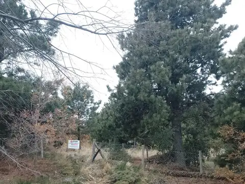 Terreno en Venta en San Carlos de Bariloche, USD 200.000