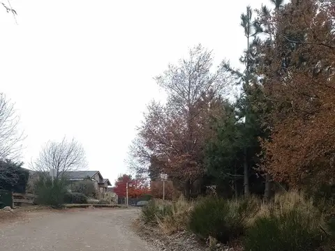 Terreno en Venta 23  mts Frente