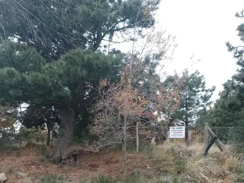 Terreno en Venta de 980,0 m2