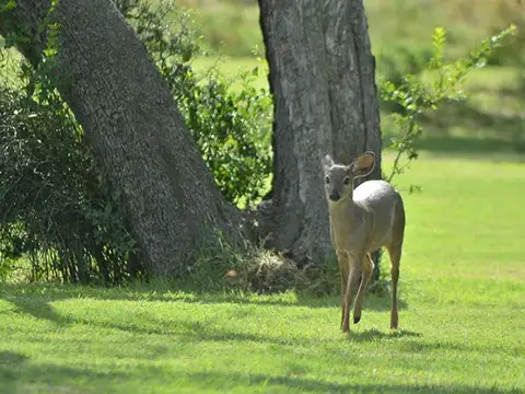 Ruta Provincial N°1