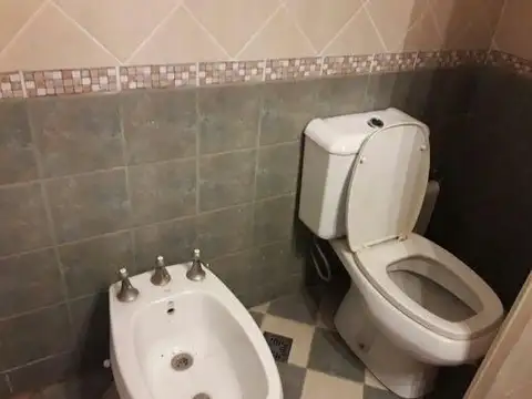 Cjal. Tribulato 2000