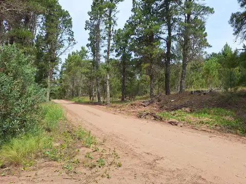 Terreno en Venta en Villarobles, USD 39.900