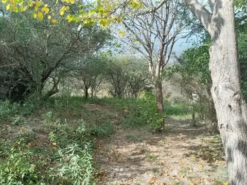 Tacuari 1200